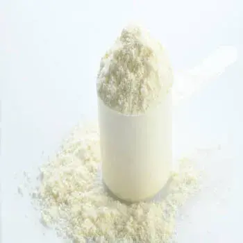 Vanilla Protein Powder vanilla_protein_powder 3-6288922-93500.webp